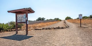 Sofi Thousand Oaks Gallery 21