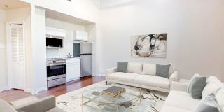 245 Losoya Gallery 8