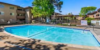 Modern 2-Bedroom Condo with Pool and Koi Pond Views Gallery 32