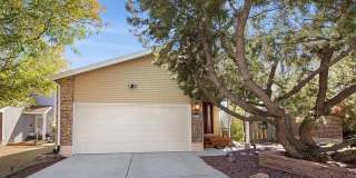 Beautiful 3 bedroom home in Arvada Gallery 1
