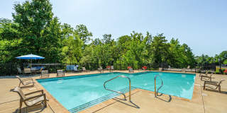 Albany Glen Gallery 28