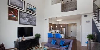 Candara at Hancock Park Gallery 11