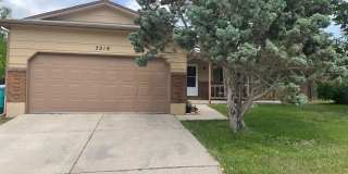 Central Location! 4 Bed 2 Bath House in Fort Collins Central Location! 4 Bed 2 Bath House in Fort Collins Gallery 1