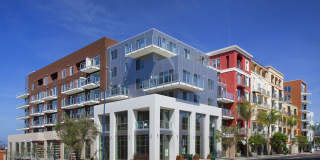 Instrata Little Italy Gallery 2