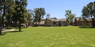 Spacious End-Unit 2 Bed, 2 Bath with Den For Lease in Irvine Gallery 19