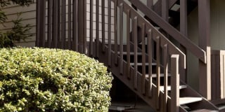 Crystal Springs Terrace Gallery 12