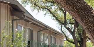 Mark Embers Gallery 6