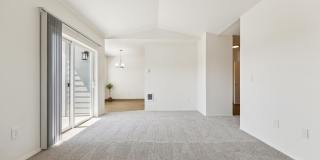 Nolan Ridge Gallery 41