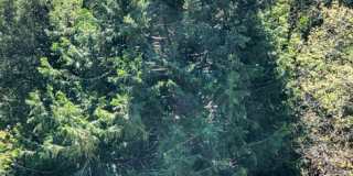 3 Bedroom 2 bath recently updated Gallery 37