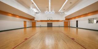 Victoria Place Gallery 77