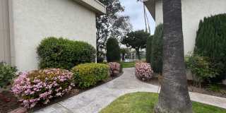 Ikaria Apartments Gallery 3