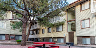 Odyssey Apartments Gallery 20