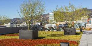 The Brand Gallery 17