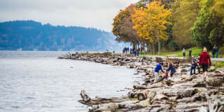 4730 California 4730 California Gallery 21