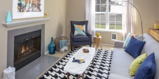 Village at Cascade Park Apartments Village at Cascade Park Apartments Gallery 2