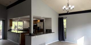 7155 Delmonico Dr Gallery 5