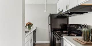 Park at Palmer Gallery 146