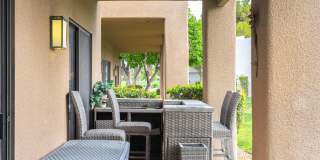 28914 Desert Princess Drive Gallery 20