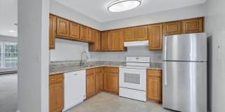 Linden At Elmtree Gallery 4