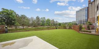 The Elmwood Gallery 17