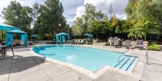 Alta Vista Gallery 19