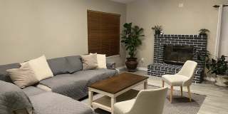 26337 Dracaea Gallery 6