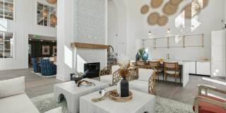 Olea eTown Gallery 26