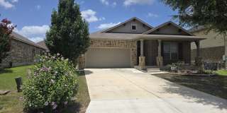 2738 Cinnamon Teal Gallery 2