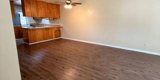 2816 Windsong Avenue Gallery 6