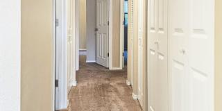 Orchard Park Apartments Gallery 8