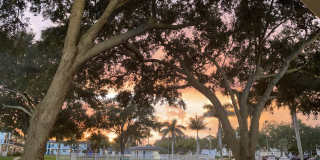 Park On Central Apartments Gallery 4