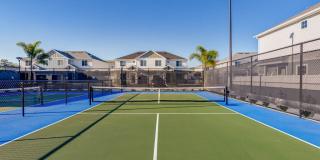 Yardly Bellalago Gallery 10