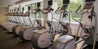 Rittenhouse Claridge Gallery 20