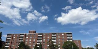 Hill Estates Gallery 5