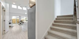 Equinox Townhomes at New Braunfels Gallery 14