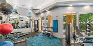 Ventura Vista Gallery 6