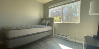 Westwood Apartments Gallery 244