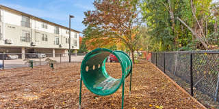 Cannery Row Gallery 13