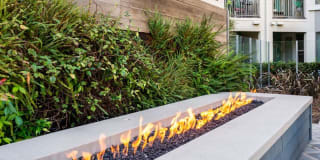 Olympus Corsair Gallery 67