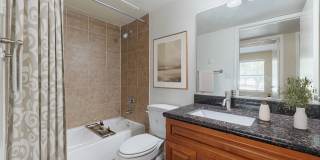 Medical Center Gallery 11