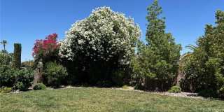 3310 W Mardon Avenue Gallery 9