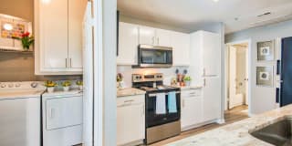 Derby at Steeplechase Gallery 10