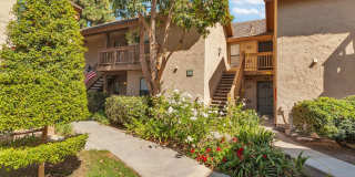 324 Tangelo 324 Tangelo Gallery 1