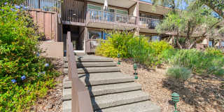 954 Lea Drive - 1 Gallery 14
