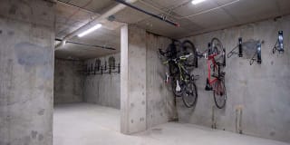 Sundodger Gallery 28