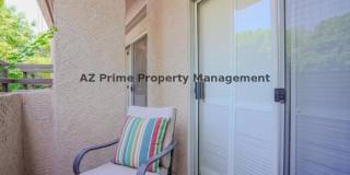 10410 North Cave Creek Road Gallery 18