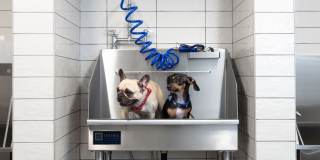 Avalon West Dublin Gallery 57