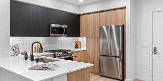 Orlo & Alba Gallery 49