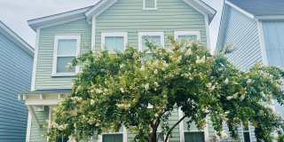 1512 Cuyler Lane Gallery 1