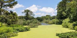 Preserve at Port Royal Gallery 13